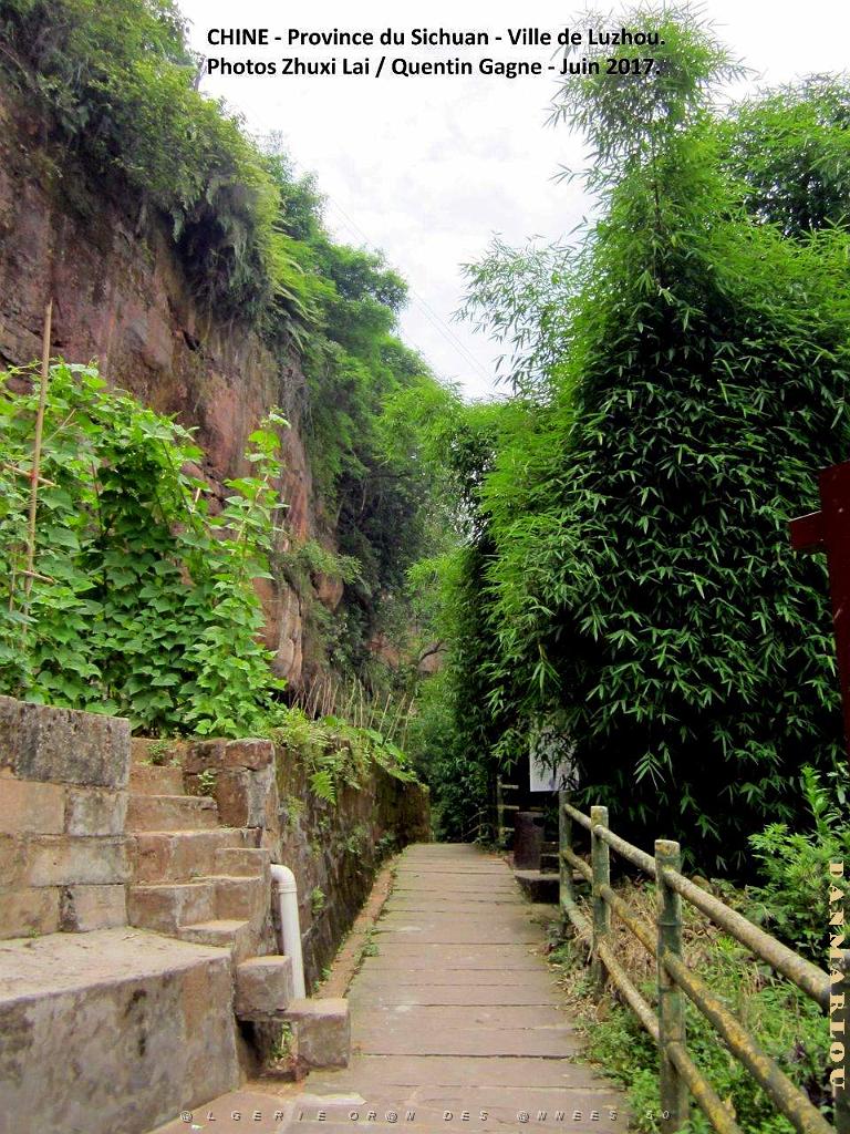 Luzhou juin 2017 - 056.JPG